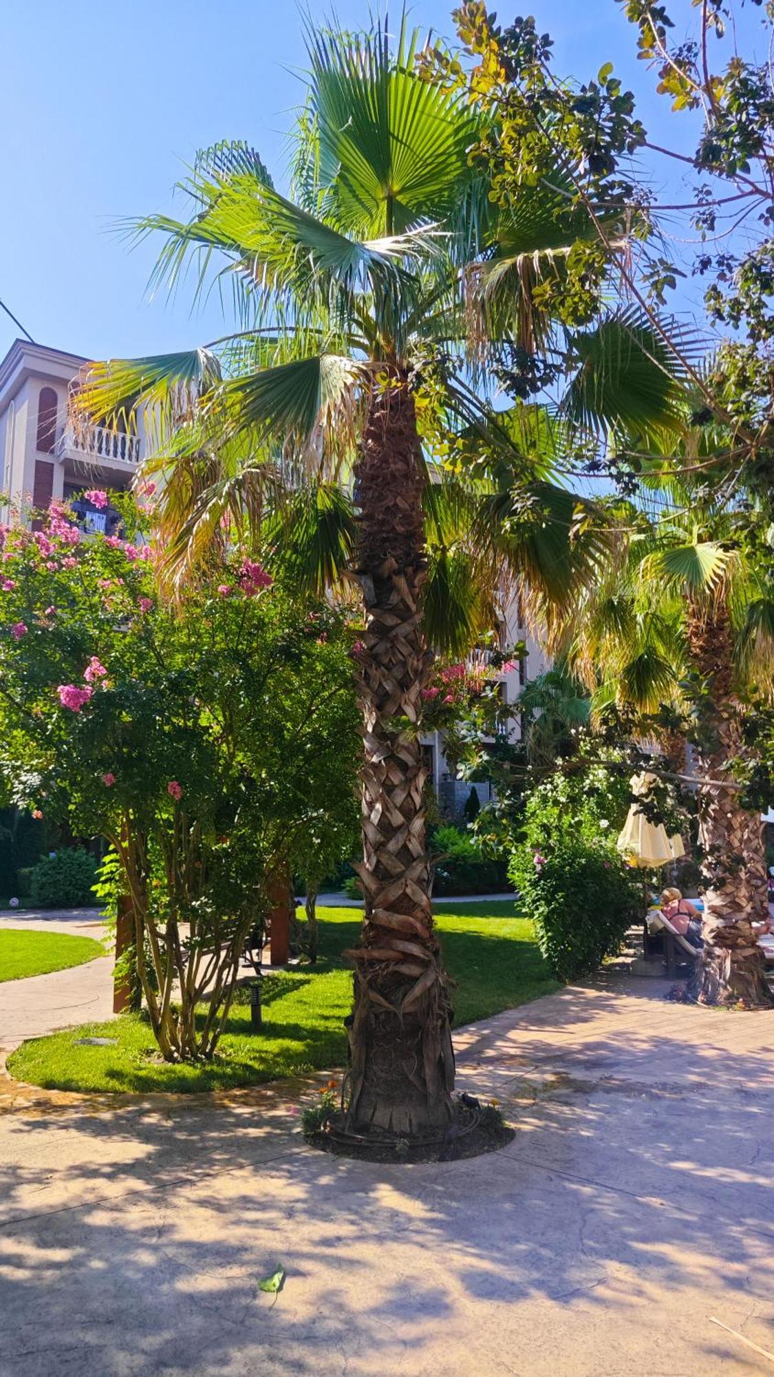 Attractive Family Apartment In Sunny Beach Cascadas Family Resort エクステリア 写真